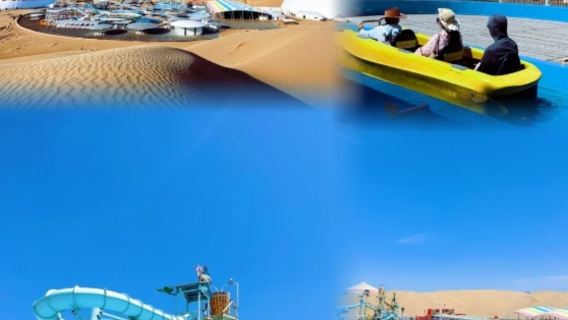 響沙灣1日遊【含沙漠門票+來回索道+休閒仙沙島+騎駱駝】