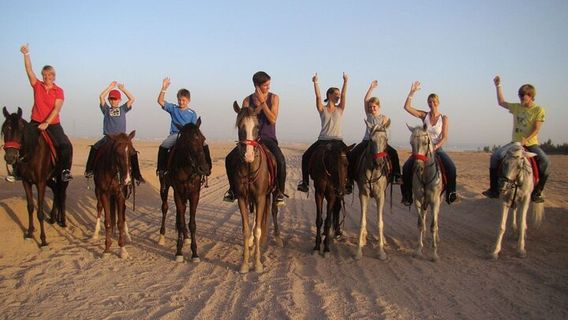 Sharm El SheikhTours