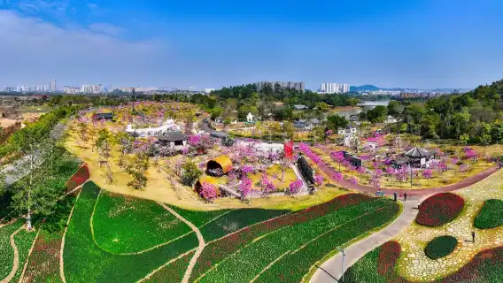 廣西南寧|民族博物館+南寧園博園+青秀山風景區