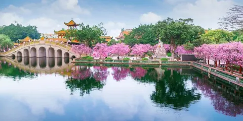 私家包車團+廣州番禺寶墨園+南粵苑+餘蔭山房+沙灣古鎮一日遊