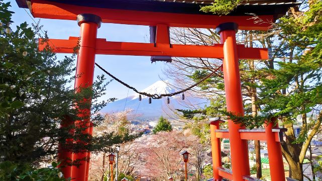 Arakurayama Sengen Park & Lake Kawaguchi Ropeway Day Tour