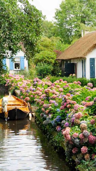 Netherlands Giethoorn 1-day tour [Small group of 8 people/Chinese/English options + cruise experience]