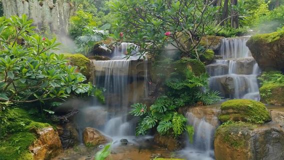 Lawatan sehari ke Taman Botani Yunluo Guangzhou + Muzium Raja Nanyue + Kuil Keluarga Chen + Shamian [Pengangkutan Kumpulan Kecil Persendirian]