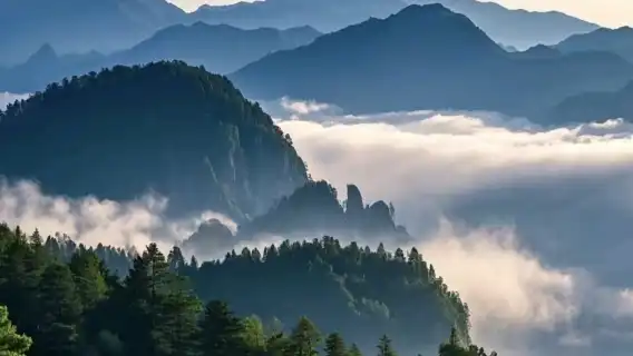 Mount Emei Scenic Area Private Tour