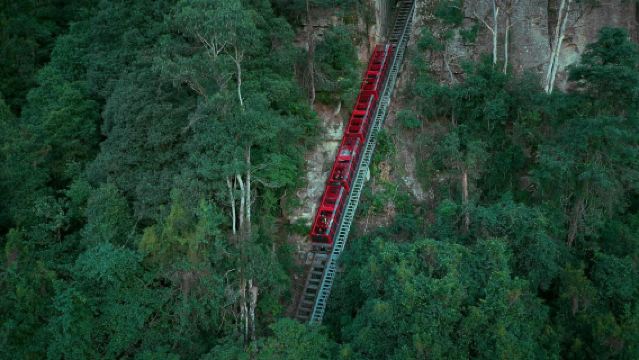 雪梨藍山國家公園+雪梨動物園一日遊【上門接駁/含3種纜車票】