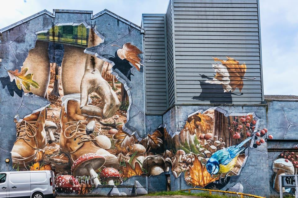 Glasgow: tour guidato a piedi alla scoperta della Street Art