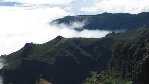 Madeira: Pico Ruivo Sehari Penuh / Achada do Teixeira Walk