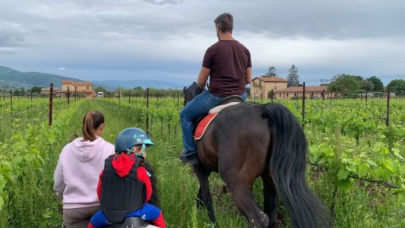 Horse Riding Through The Valleys + lunch
