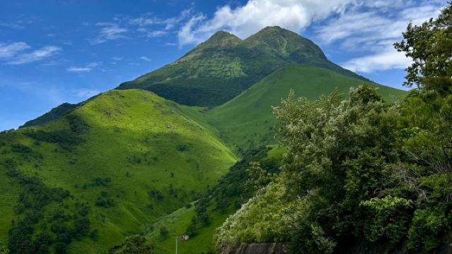 日本福岡來回由布院景點/可熊本別府大分九州多日綠牌包車-精選