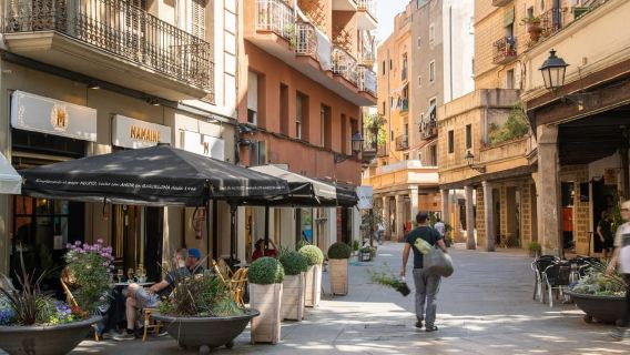 Barcelona: Visita guiada a pie por el Born con el Museo Picasso
