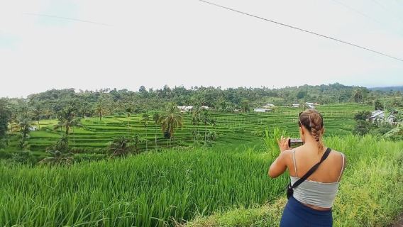 Lombok: Private Car/Van Charter with Driver