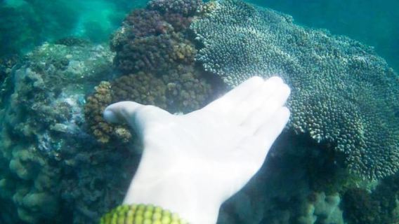 Ab Nha Trang: 4-tägige Tour nach Mui Ne mit Weinschloss-Besuch