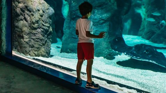 Lanzarote: biglietto d'ingresso all'Acquario