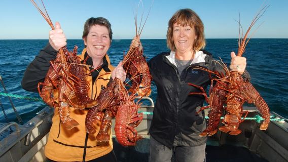 Geraldton: Eco Abrolhos Cruises Lobster Pot Pull