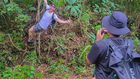Panamá: Tour por el hábitat de los monos y los perezosos en la selva