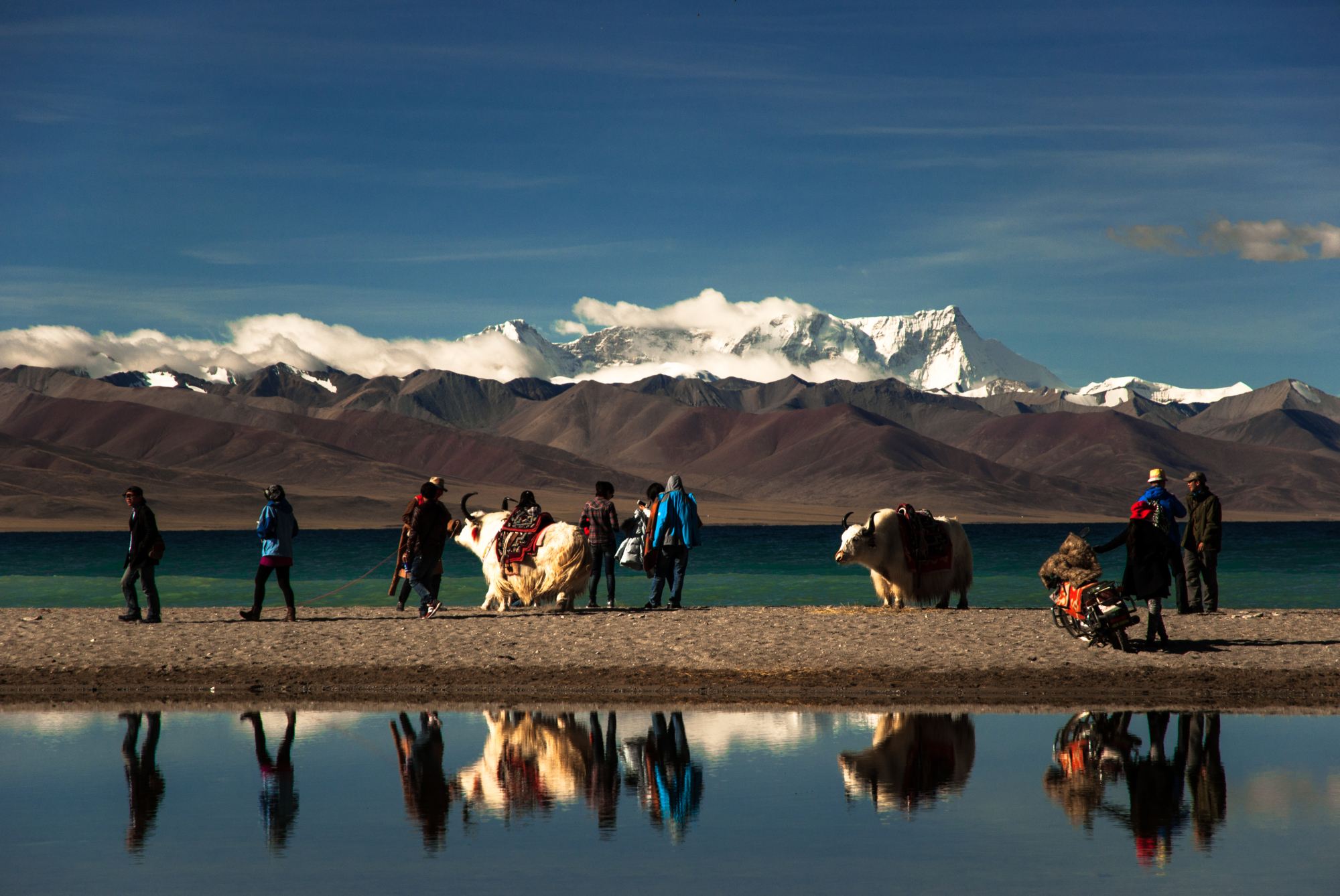 西藏納木措扎西半島+那根拉山口一日遊|多團型選擇