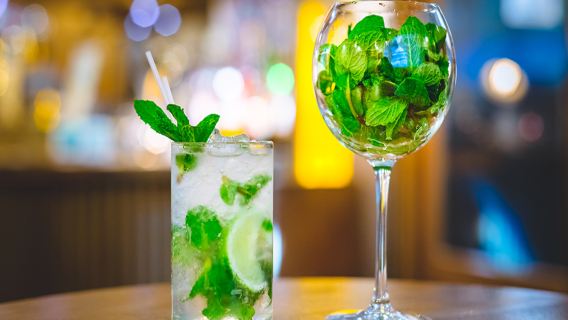 [Bar 300 Ginza Tienda 8-chome] 3 bonos de bebida + aperitivo de bienvenida