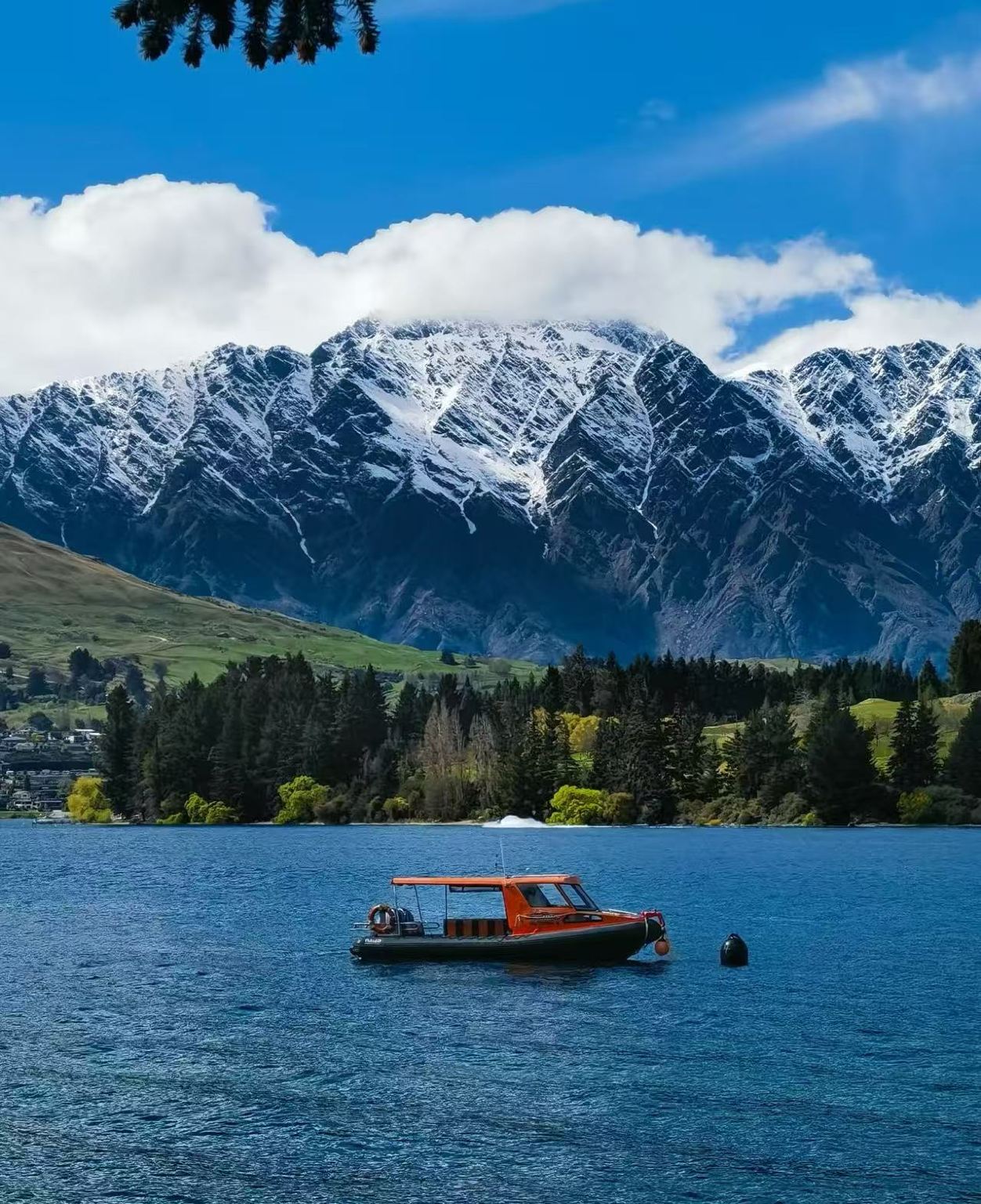 新西蘭皇后鎮米爾福德峽灣公路風景+遊船【中文包車+12小時】