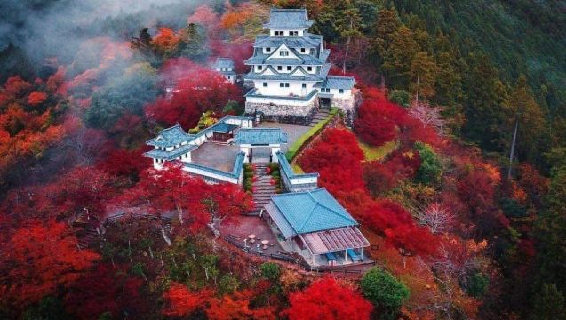 lawatan sehari Nagoya|Kolam Monet & Istana Gujo Hachiman & Bandar Bawah Istana Gujo Hachiman & Gua Batu Kapur Otaki