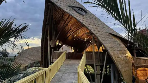 蜥蜴咖啡館與河流俱樂部的侏羅紀世界體驗