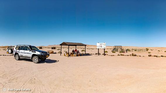 Escursione a terra: fenicotteri, Dune 7, Swakopmund, Welwitshschia