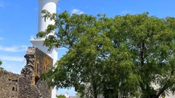 阿根廷布宜諾斯艾利斯+五月廣場一日遊/行程可調-可定制多日