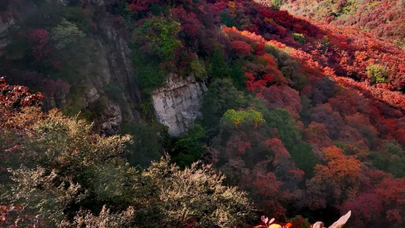 【石家莊出發】仙台山一日遊