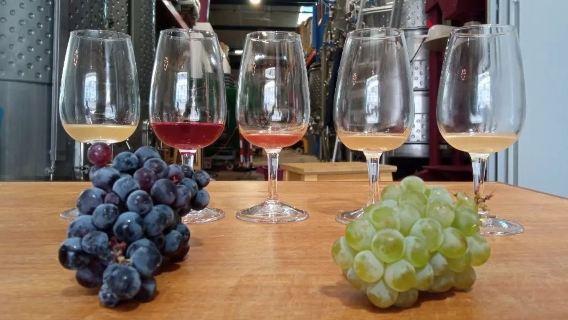 Lisbon Urban Winery Tour