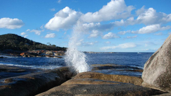 塔斯曼半島一日遊【噴水洞到亞瑟港的山海與歷史奇遇】
