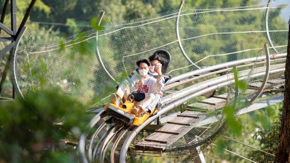Experiencia en la montaña rusa y tirolina de la jungla de Pongyang en el parque de aventuras Pongyang de Chiang Mai