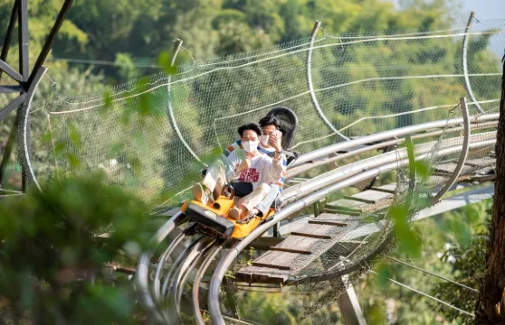 清邁 博岩 探險樂園 叢林過山車＆飛索體驗 【椰皮旅行】Pongyang Jungle Coaster Zipline