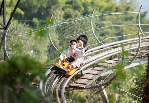 Pongyang Jungle Coaster & Zipline Experience at Pongyang Adventure Park in Chiang Mai