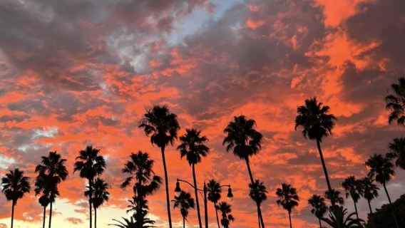 Los Angeles + Hollywood Sign + Griffith Observatory Day Tour (Customizable)