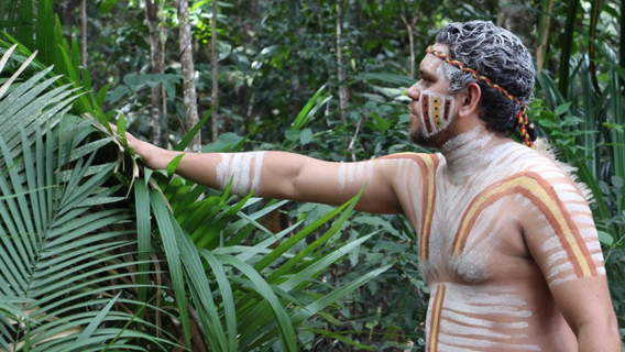 庫蘭達小鎮一日遊 (中文團)【庫蘭達熱帶雨林】