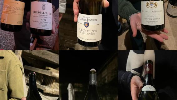 法國勃艮第-伏舊園城堡參觀+武若酒莊品酒【含中文陪同講解】