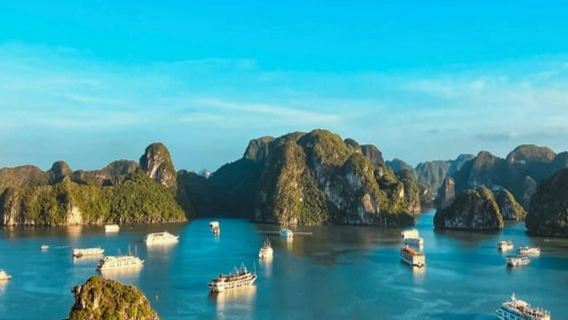 Ha Long Bay: Full-Day Guided Cruise from Hanoi with Ti Top Island + Lunch