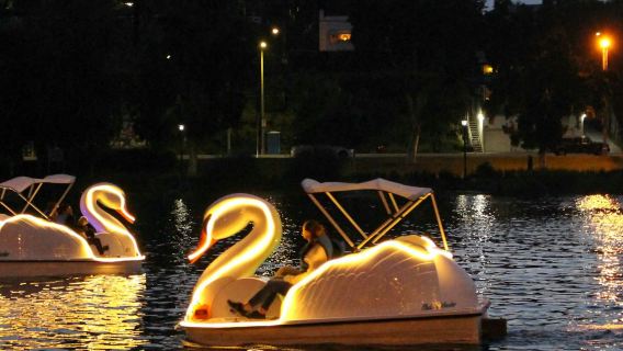 Long Beach: Swan Boat Rental at Rainbow Lagoon