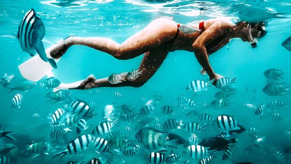 Gili ATM Three Islands Snorkeling: Join-in Tour + Departure from Gili T + Meeting Point + 4 Hours