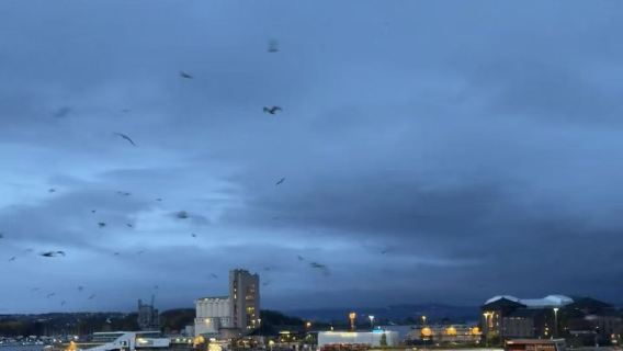 挪威奧斯陸市區或周邊包車【北歐全線定制+多日優惠+中文司機】