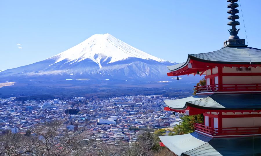 Fujikyu Railway Experience Day Tour