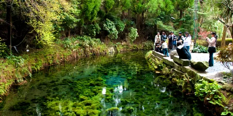 九州神話起源一日遊:探秘高千穗峽+白川水源+天安河原/神社