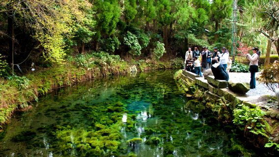 Kyushu Myth Origins Day Tour: Explore Takachiho Gorge + Shirakawa Spring + Amanoyasukawara/Shrine