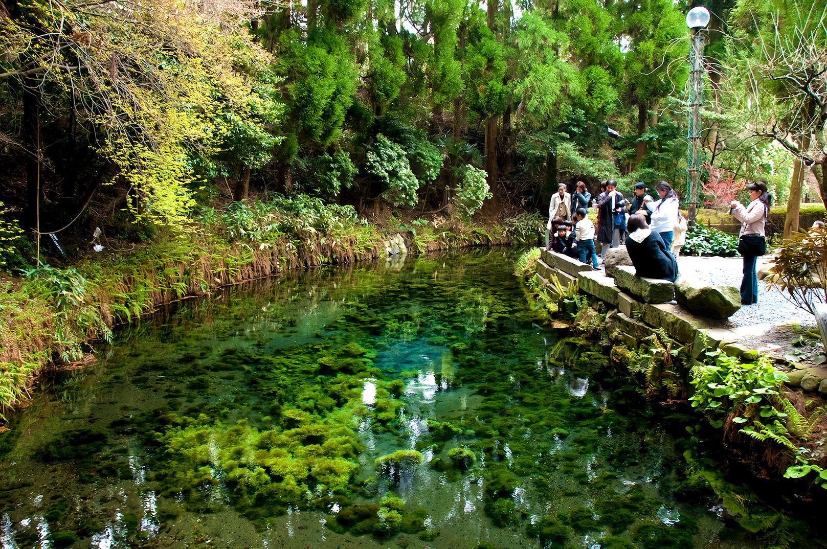Kyushu Myth Origins Day Tour: Explore Takachiho Gorge + Shirakawa Spring + Amanoyasukawara/Shrine