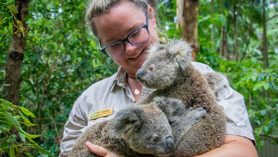 新年必囤 黃金海岸 克倫斌+伯利角/水果世界/捉蟹一日遊