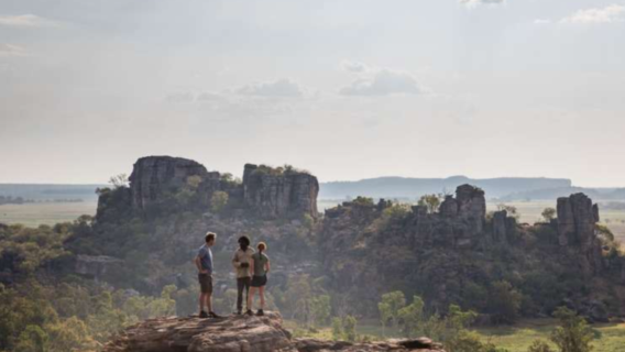 Darwin round-trip Kakadu National Park 1-day tour [crocodile cruise/foggy billabong options]