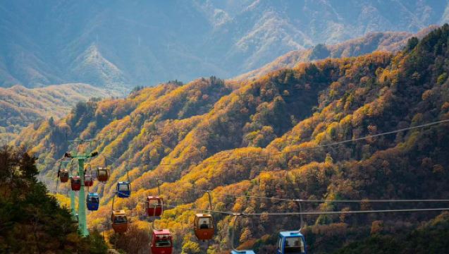 朱雀國家森林公園一日遊｜山峰奇秀/雲海仙境【來回接駁車】