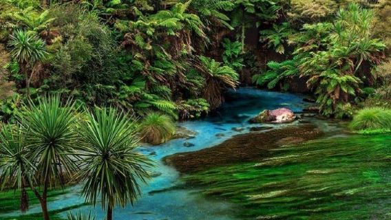 紐西蘭南島哈比村+純淨藍泉一日遊【奧克蘭來回丨可選包車】