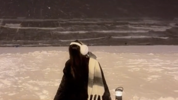 【春節預售】威海包車遊網紅景區隨意搭配