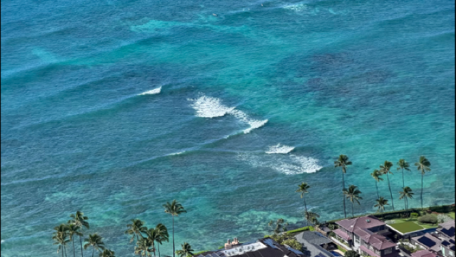 夏威夷歐胡島一日遊 威基基海灘+鑽石頭山+恐龍灣+馬諾阿瀑布