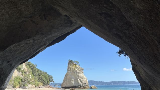 Lawatan sehari Auckland, New Zealand pergi-balik ke tempat tersembunyi untuk dikunjungi [Pantai Hot Water + Cathedral Cove]
